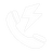 CallNow Logo